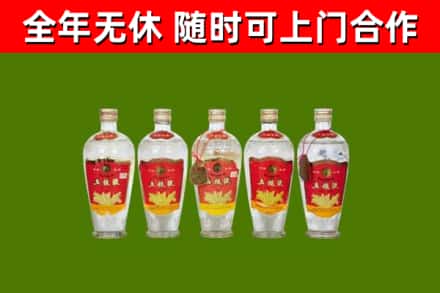 苍溪烟酒回收公斤五粮液.jpg