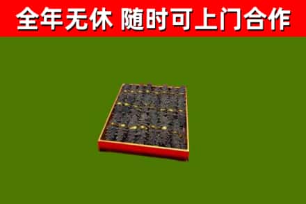 苍溪回收海参